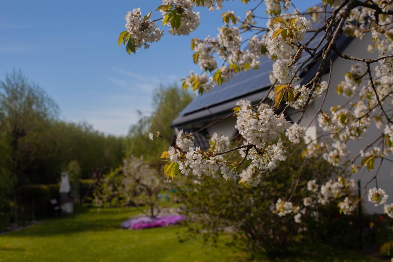 Ferienwohnung Pod Lipa Stolpmünde Exterior foto